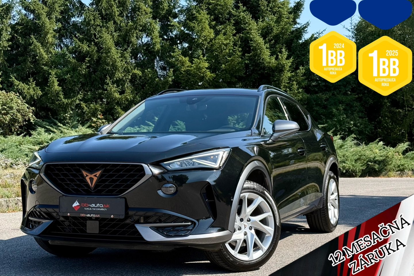 Cupra Formentor 2.0 TDI 150k 4Drive DSG