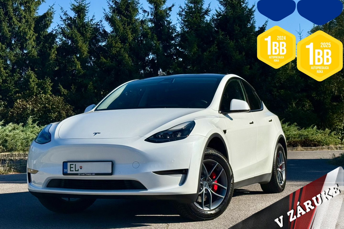 Tesla Model Y PERFORMANCE 393kW Dual Motor AWD Ťaž