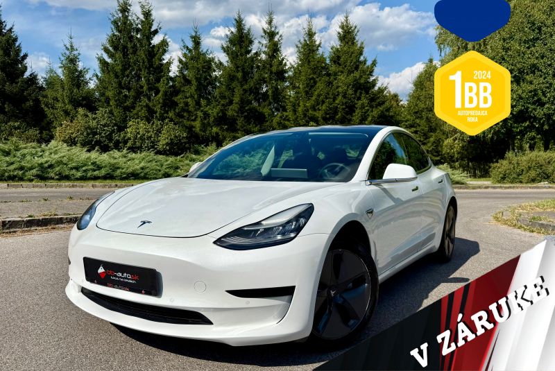 Model 3 Standard Range Plus 