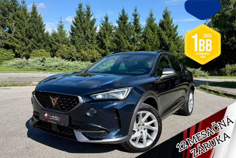 Cupra Formentor 2.0 TDI 150k 4Drive DSG 